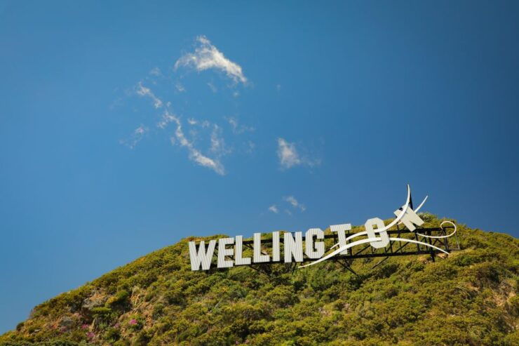 Wellington: Lord of the Rings & Weta Workshop Full Day - Activity Details