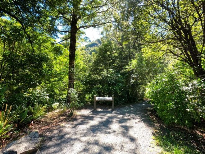 Wellington: Lord of the Rings & Weta Workshop Full Day - Customer Reviews