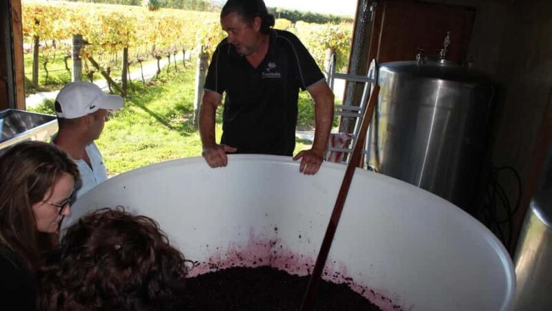 Wellington: Martinborough Private Winery Tour with Lunch - Authentic Experiences from Other Travelers