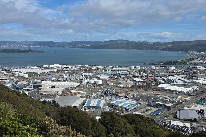 Wellington Native Bush Walking Tour - Potential Drawbacks & Considerations
