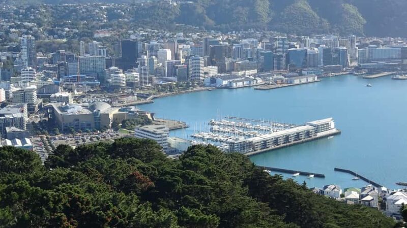 Wellington: Original LOTR Half-Day Experience with Weta - Practical Details & Considerations