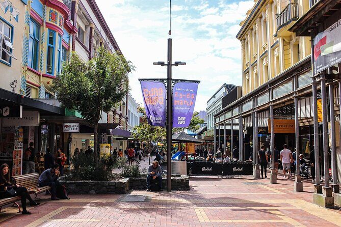 Wellington Private City Tour. Hotel or Port pick up. Tickets incl - Exploring Wellington: What the Tour Offers