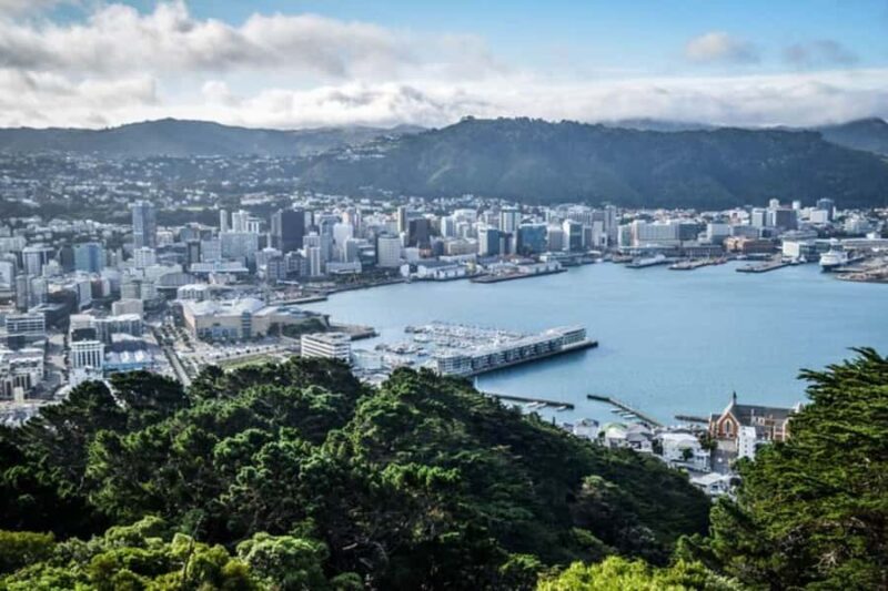 Wellington: Private custom tour with a local guide - A Deep Dive into the Wellington Private Tour