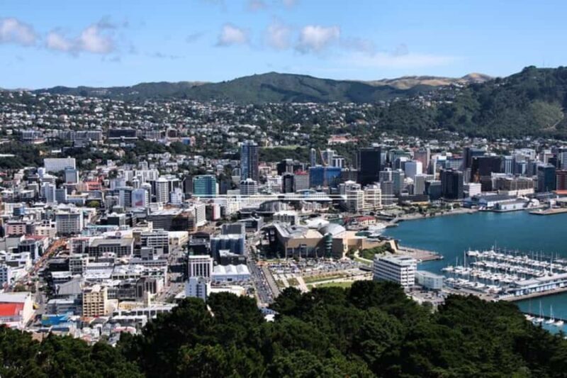 Wellington: Private custom tour with a local guide - FAQ