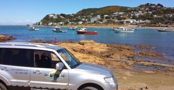 Wellington: Private Day Tour With Lunch - Tour Highlights
