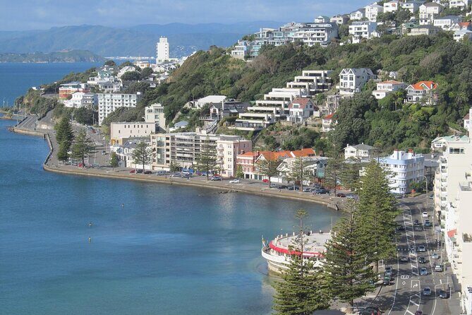 Wellington Private One Day Tour - In-Depth Look at the Itinerary