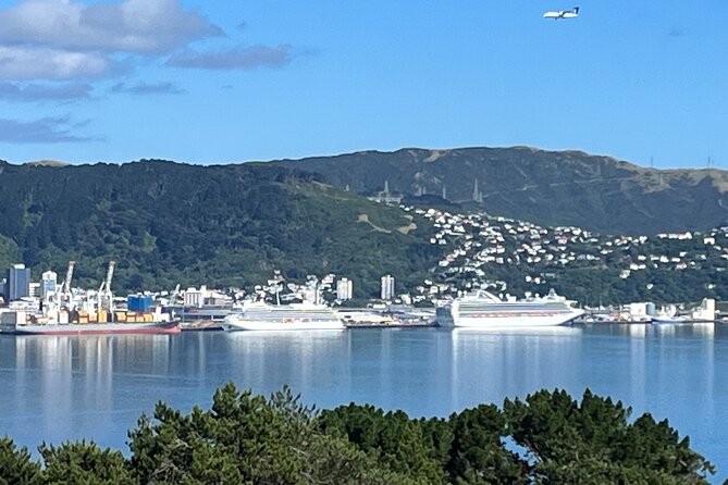 Wellington Private Tandem Tesla Tour - Tesla Fleet