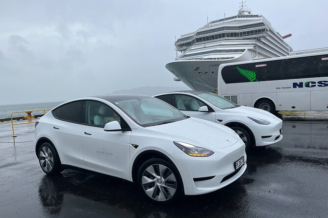 Wellington Private Tandem Tesla Tour - Customizable Itineraries