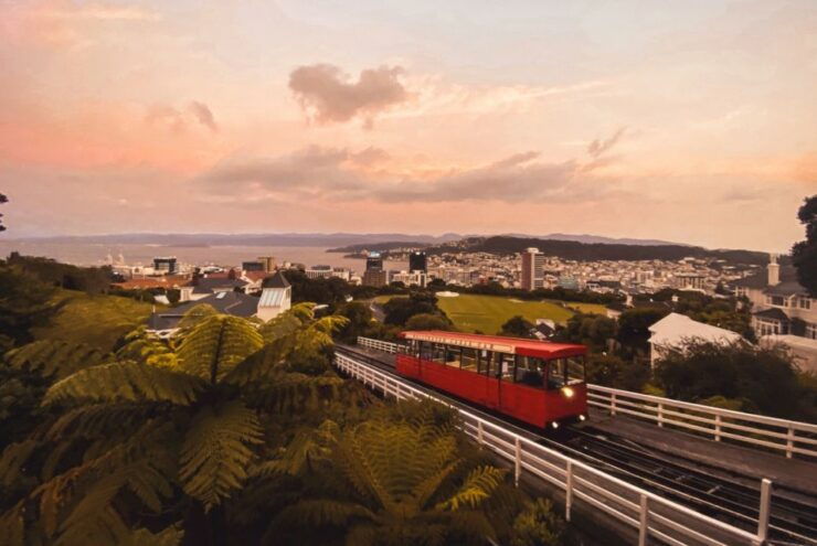 Wellington: Return Cable Car Ticket - Experience