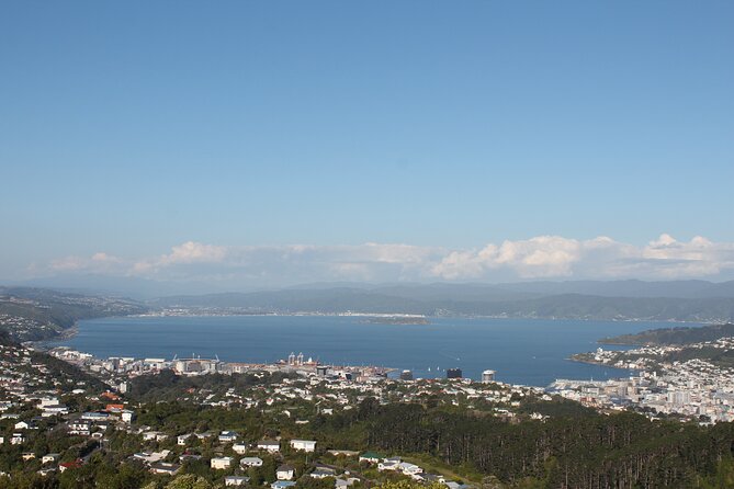 Wellington Scenic Full Day Tour - Reviews