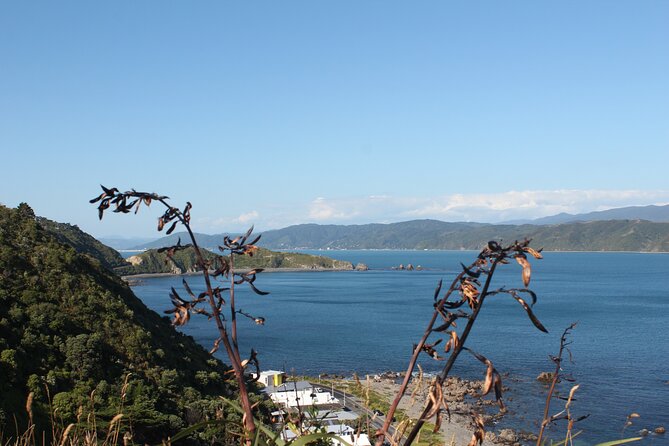 Wellington Scenic Full Day Tour - Pricing