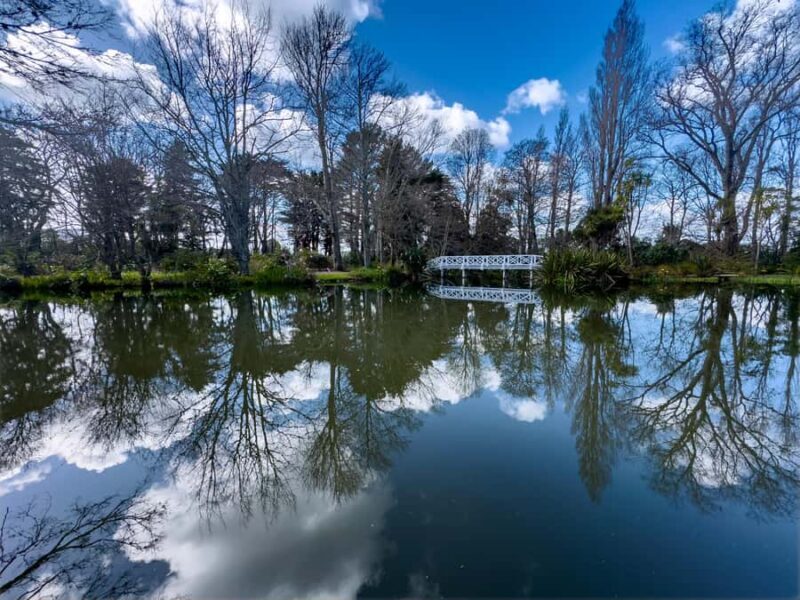 Wellington: Secret Realms of Middle-earth - Lothlorien - Good To Know