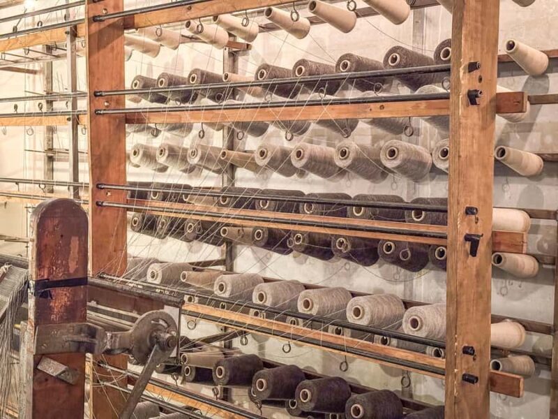 Wellington: Secret Realms of Middle-earth - Lothlorien - Who Should Book This Tour?