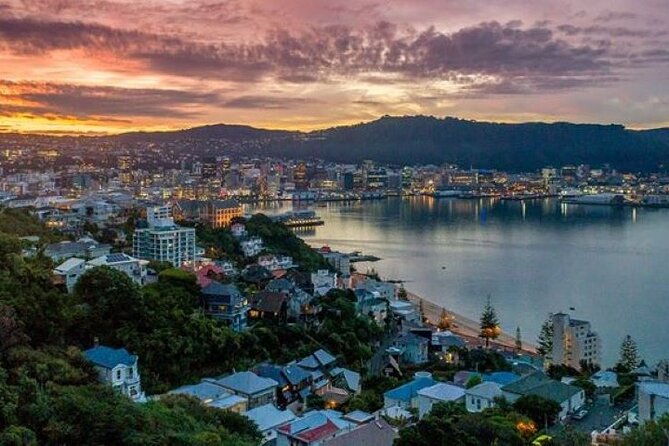 Wellington Self-Guided Audio Tour - Cancellation Policy and Terms