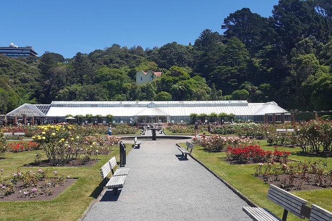 Wellington Shore Excursion: From Cave to Coast Highlights Private Tour - Mount Victoria Lookout