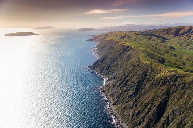 Wellington South Coast Discovery Helicopter Flight - Cancellation Policy