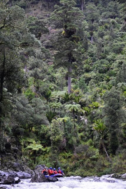 Wellington: Te Awa Kairangi Class 3 Whitewater Rafting Tour - Duration and Starting Times