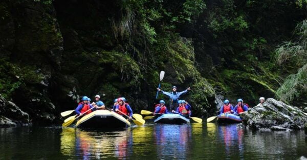 Wellington: Te Awa Kairangi Class 3 Whitewater Rafting Tour - Picnic and Lunch Details