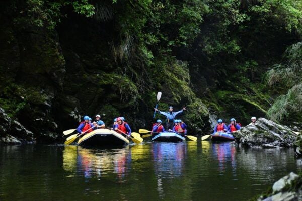 Wellington: Te Awa Kairangi Class 3 Whitewater Rafting Tour - Common Questions
