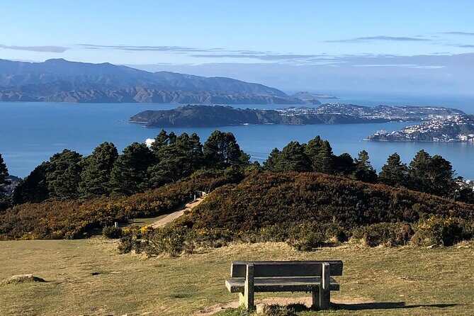 Wellington: Wild Skyline Guided Hiking Tour, Transfers + Lunch - Good To Know