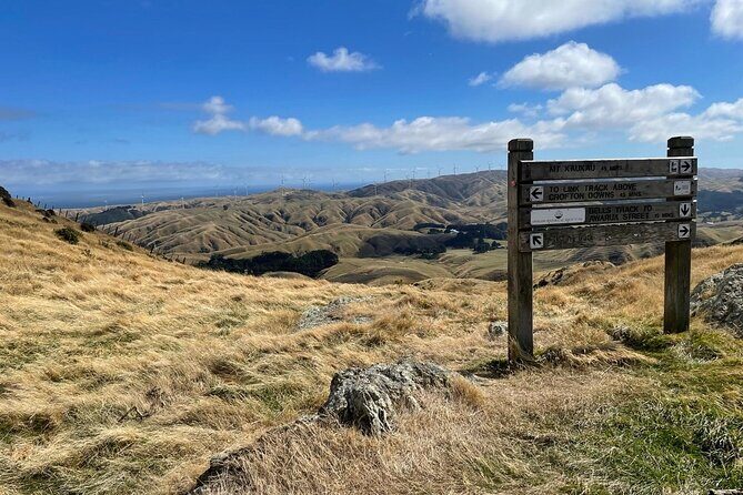 Wellington: Wild Skyline Guided Hiking Tour, Transfers + Lunch - What to Expect from the Wellington Skyline Guided Hike