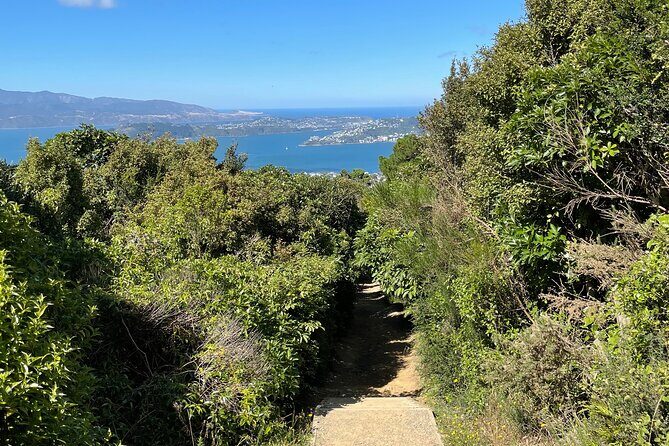 Wellington: Wild Skyline Guided Hiking Tour, Transfers + Lunch - Final Thoughts