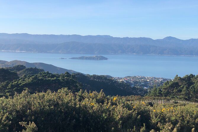 Wellington: Wild Skyline Guided Hiking Tour, Transfers + Lunch - FAQ