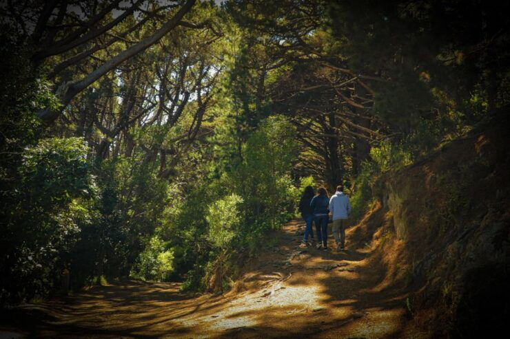 Wellington's Lord of the Rings Half-Day Tour - About the Tour