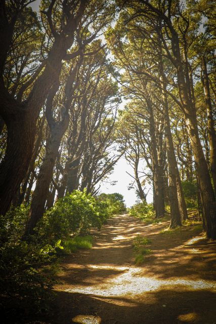 Wellington's Lord of the Rings Half-Day Tour - Customer Reviews