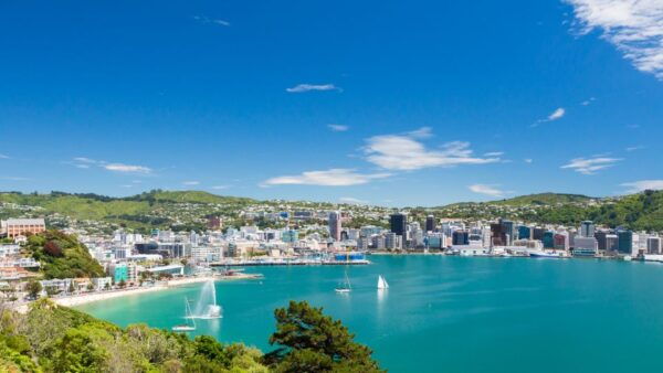 Wellington's Lord of the Rings Half-Day Tour - Common Questions