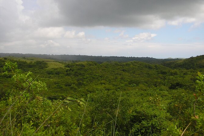 Wellness Farm, Beach & Nature Trail Adventure - Wellness Farm Overview