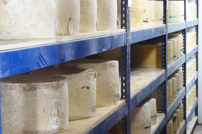 Wells, Cheddar Cheese and Cheddar Gorge - Private Day Trip From Bristol - Return to Bristol With Lasting Memories