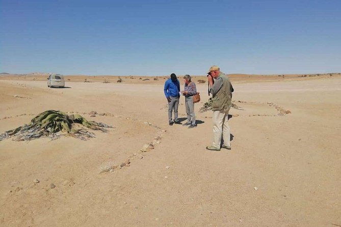 Welwitschia Moon Landscape & Namib Desert Dune 7 Private Day Tour - Good To Know