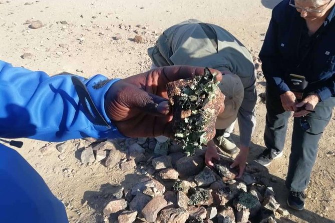 Welwitschia Moon Landscape & Namib Desert Dune 7 Private Day Tour - Operator Response