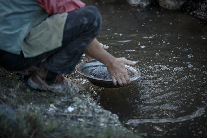 Werribee Mansion and Sovereign Hill 1 Day Tour - Is This Tour Worth It?