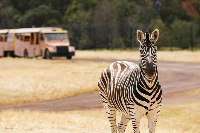 Werribee Open Range Zoo General Admission Ticket - Overview