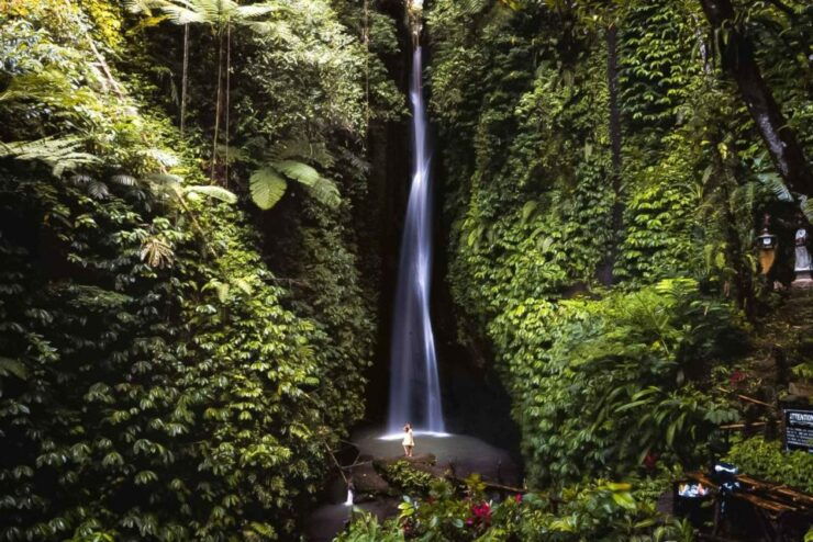 West Bali: Jatiluwih Rice Terrace and Tanah Lot Sunset Tour - Cancellation Policy Details