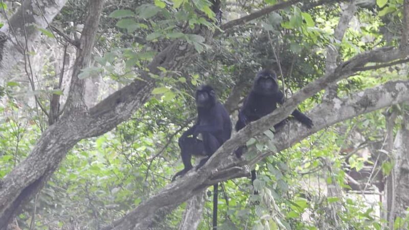 West Bali: Jungle Trekking in Bali Barat National Park - Details of the Tour Structure and Practicalities