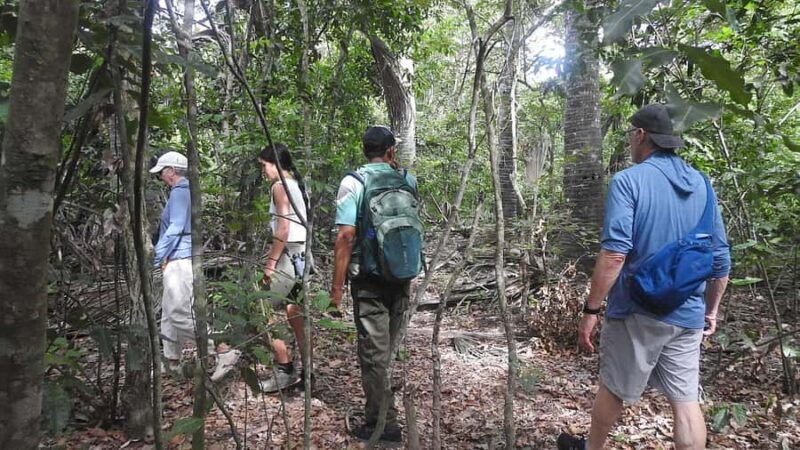 West Bali: Jungle Trekking in Bali Barat National Park - What Could Be Improved or Considered