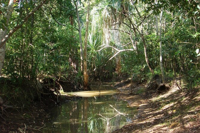 West Coast 4WD Eco Bus Tour - Booking Information