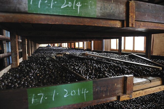 West Coast Adventure: Concord Waterfall, Nutmeg Processing & More - Tour Details