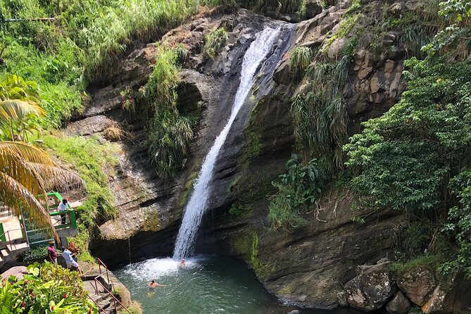 West Coast Adventure: Concord Waterfall, Nutmeg Processing & More - Inclusions