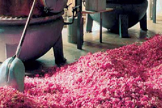 West Coast and Countryside Private & Guided Tour - Additional Information