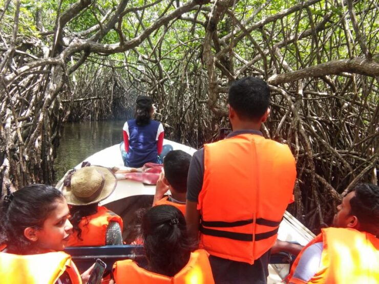 West Coast Beach, River Mangroves Lagoon, Wildlife Boat Tour - Activity Details