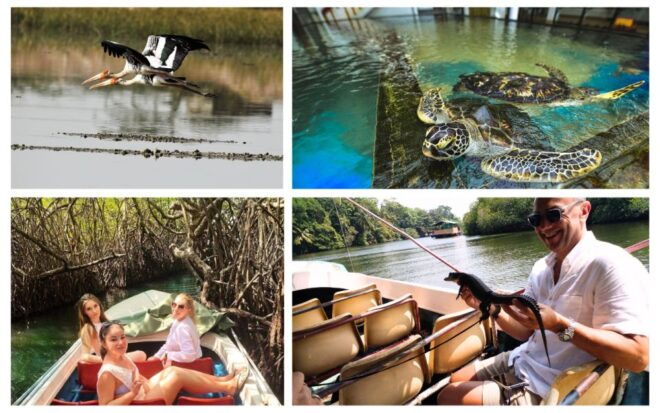 West Coast Beach, River Mangroves Lagoon, Wildlife Boat Tour - Mangrove Forests