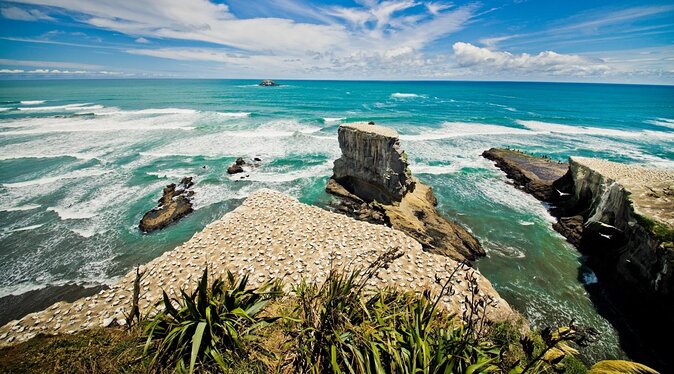 West Coast Discovery - Piha Beach or Muriwai Beach From Auckland - Departure From Auckland