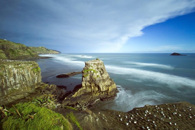 West Coast Discovery - Piha Beach or Muriwai Beach From Auckland - The Sum Up