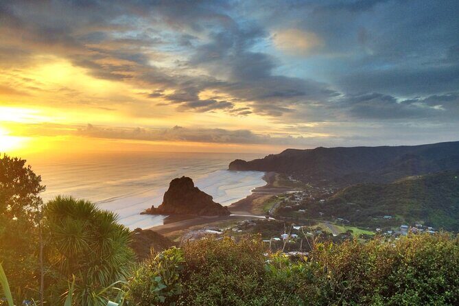 West Coast Discovery Piha Beach Private Tour - Final Thoughts: Who Will Love This Tour?
