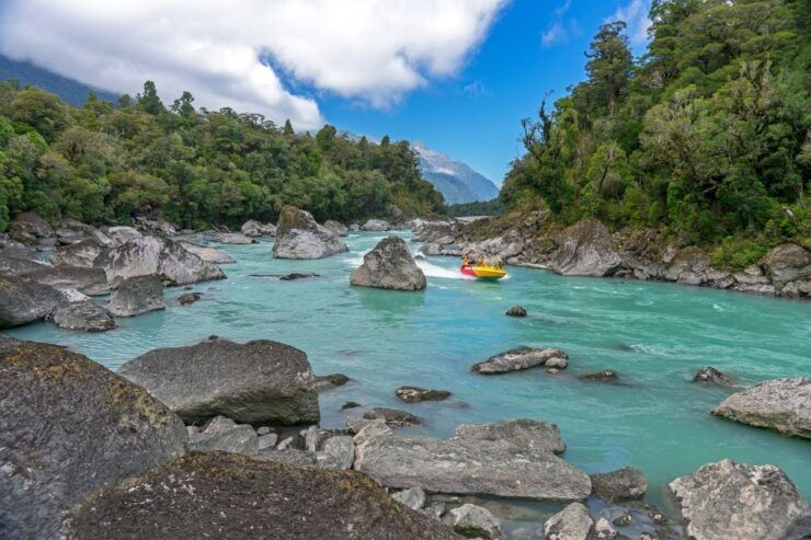 West Coast: Eco River Safari in UNESCO World Heritage Area - Experience Highlights