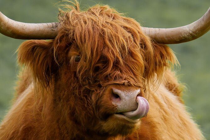 West Coast Lochs & Castles Tour - from Edinburgh - FAQ